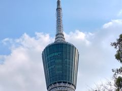 -梧桐山风景名胜区