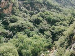 -黑龙潭风景区