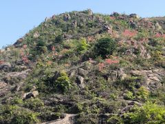 -大罗山风景区