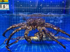 -启东小海鲜(庄先湾路1号店)