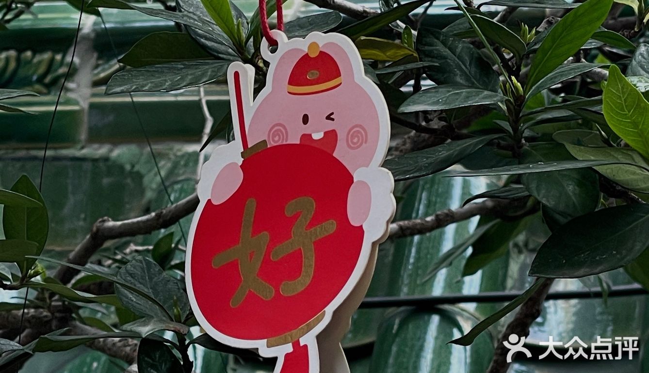 广州｜来日式庭园喫茶喝啡🍵特调茶饮有意思🧺