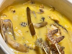 -金龙·打边炉(南京西路店)