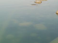 -滆湖低碳生态公园