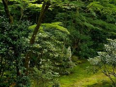 -三千院