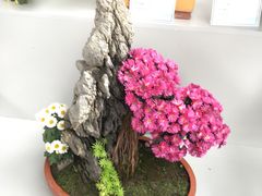 -共青国家森林公园-售票处
