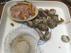 扇贝-董大蒸货(方塔园店)