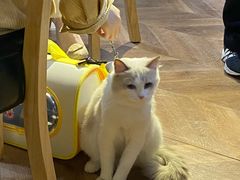 -铁炉咖啡(河下古镇店)