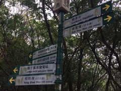 -南丫岛