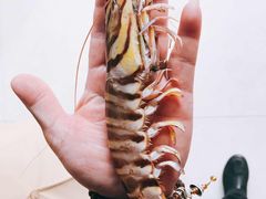 -枸杞岛