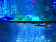 -沈阳海洋探索中心