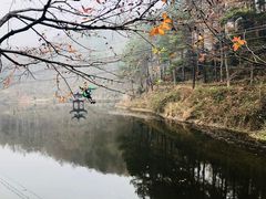 滑索-清凉寨景区