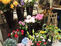 -之悦咖啡馆(新星宇·之洲店)