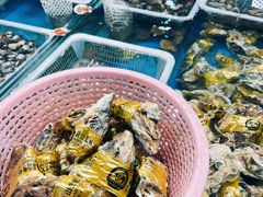 -韩家墅海吉星农产品批发市场