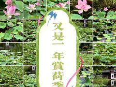 -黄兴公园