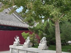 -天津大悲禅院