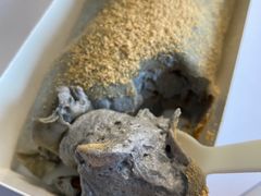 -喵小喵烘焙(广宜文苑店)