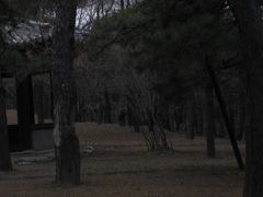 景点-承德避暑山庄景区