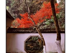-杭州黄龙洞