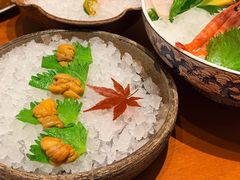 -月龍吟(朝龙汇店)