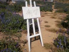 -北京东方普罗旺斯薰衣草庄园