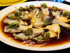 -甄御•海鲜新青岛菜(麦岛店)