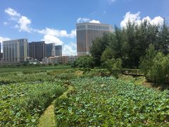 -龙环葡韵住宅式博物馆