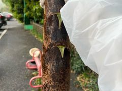 -会稽山峡洞漂流-上青古道