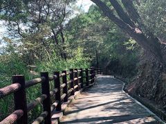 -羚羊峡古栈道森林公园