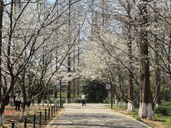 -虞山风景区