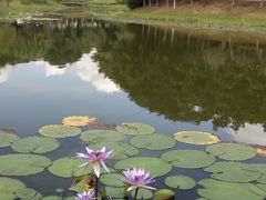 -东莞植物园