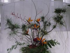 -荷兰布尔玛国际花艺学院