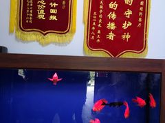 -绿野餐厅(上海动物园店)