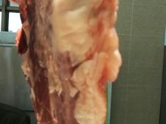 -欢乐海岸美食联盟
