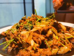 -秀儿四九城·新京菜(亚运村鸟巢店)