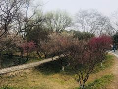 -西溪国家湿地公园