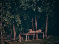 -清迈夜间动物园