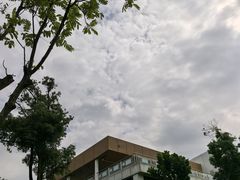 -THE PLAN_T COFFEE ROASTER(定岗湖公园店)