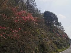 -木兰云雾山