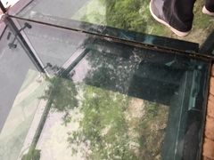 -矮寨·十八洞·德夯大峡谷景区