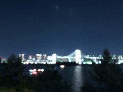 -台场海滨公园船码头