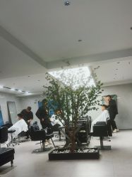 -付军剪艺JF ProSalon