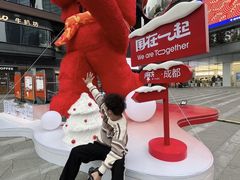 -合景·悠方(成都店)