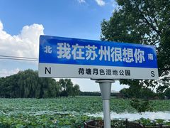 -荷塘月色湿地公园·向阳花洲