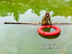 -红山森林动物园