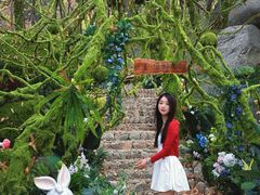 -沂蒙山旅游区云蒙景区(蒙山国家森林公园)