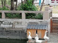 -苏州文庙(姑苏区)