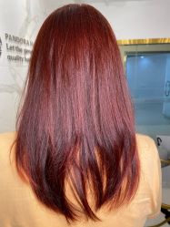 -潘多拉Hairsalon