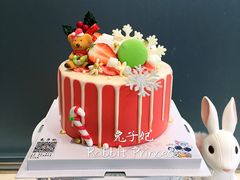 圣诞蛋糕-兔子妃私人定制蛋糕(城南花苑南区店)
