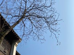 -仓桥直街