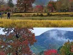 -塔川景区